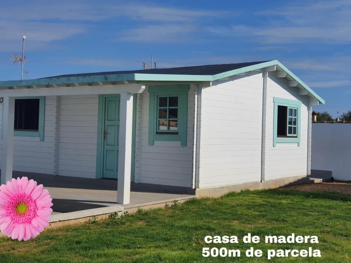 Mint House Apartment Chiclana de la Frontera Bagian luar foto